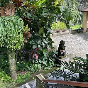 Balimas Ubud (Bali)